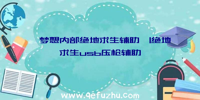 「梦想内部绝地求生辅助」|绝地求生usb压枪辅助